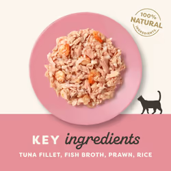 Applaws 100% Natural Wet Cat Food Tins, Tuna Fillet with Prawn in Broth 70 g for Adult Cats (24 x 70 g Tins)