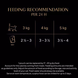 Poultry Collection in Gravy 40 Pouches, Adult Wet Cat Food (40 x 85 g)