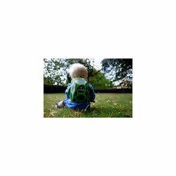 LittleLife Animal Toddler Backpack with Safety Rein