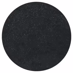 Max Factor Wild Shadow Pot eye shadow 2 ml 010 Ferocious Black