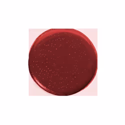 Gel Nail Polish Lust 8ml