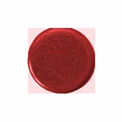 Gel Nail Polish Passion 8ml