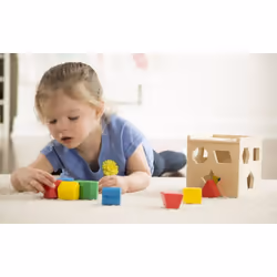 Melissa & Doug Shape Sorting Cube
