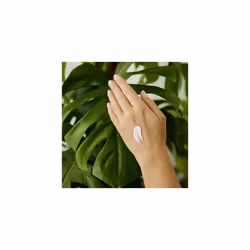 Pomegranate Regenerating Hand Cream 50ml