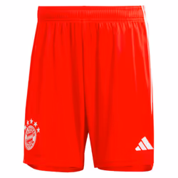2023-2024 Bayern Munich Home Shorts (Red) - L