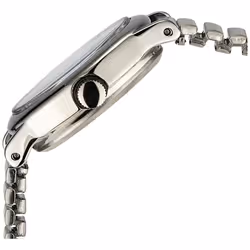 Timex Women's T21902 Cavatina Silver-Tone Stainless Steel Expansion Ba