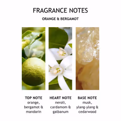 Molton Brown Orange and Bergamot Body Lotion 300 ml
