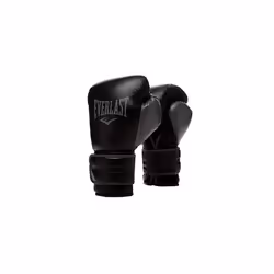 EVERLAST Powerlock 2R Training Gloves - Black - 14oz