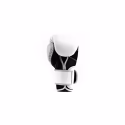 Powerlock 2R Training Gloves - White - 12oz