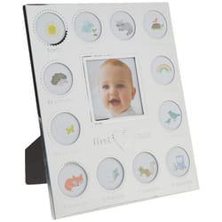 Carter's Baby's First Year Animal Theme Silver Metal Month by Month Pi