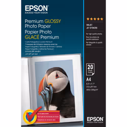 Epson Premium Glossy Photo Paper - A4 - 20 Sheets, Premium-gloss, 255 g/m², A4, 21x29.7 cm, White, Brochure, Office printing, ...