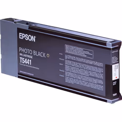 Epson Singlepack Photo Black T544100 220 ml - Additional view 2
