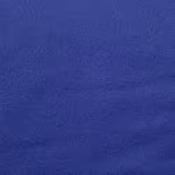 Stansport Fleece Sleeping Bag - Blue (510-50)  (32- X 75-Inch)
