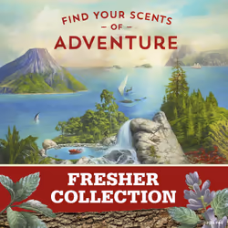 Old Spice Antiperspirant Deodorant for Men  Timber With Sandalwood  Inspired by Natural Elements  Invisible Solid  2.6 Oz  Pack of 12