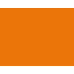 BAZIC 22"""""""" X 28"""""""" Fluorescent Orange Poster Board (Case of 25)