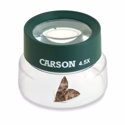 Carson BugLoupe Oversized 4.5x Stand Magnifier for Easy Viewing