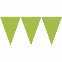 Amscan 120099-53-55, Bunting banner, Paper, Green, 4570 mm, 177 mm
