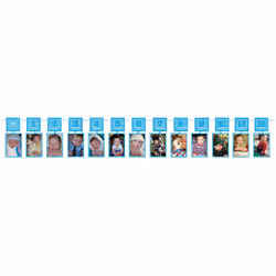 Amscan 220108, Garland, Paper, Blue, 3650 m, 1 pc(s)