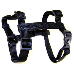 Hamilton Adjustable Comfort Nylon Dog Harness  Black  1"""" x 40-50""""