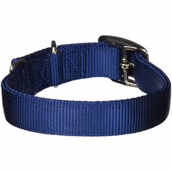 Hamilton Double Thick Nylon Deluxe Dog Collar 1-Inch by 20-Inch Navy Blue
