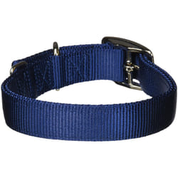 Hamilton Double Thick Nylon Deluxe Dog Collar  1-Inch by 20-Inch  Navy Blue