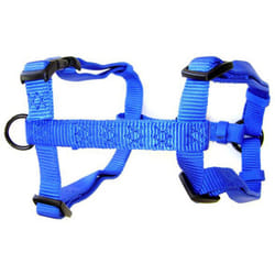 Hamilton 3/8-Inch by 10-Inch to 16-Inch Adjustable Comfort Nylon Dog Harness  Blue
