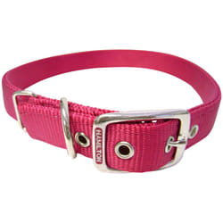 Hamilton Double Thick Nylon Deluxe Dog Collar  1-Inch by 22-Inch  Raspberry