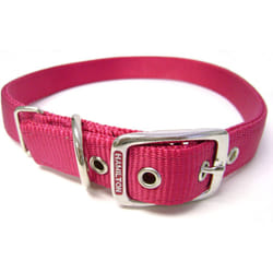 Hamilton Thick Nylon Deluxe Dog Collar  1-Inch by 24-Inch Double  Raspberry