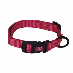Hamilton Adjustable Nylon Dog Collar  Raspberry  3/8"""" x 7-12""""