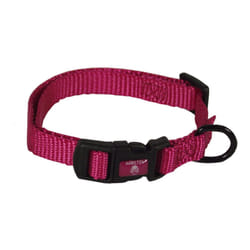 Hamilton Adjustable Nylon Dog Collar  Raspberry  3/8"""" x 7-12""""