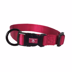 Hamilton Adjustable Nylon Dog Collar Raspberry 5/8"""" x 12-18""""