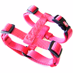 Hamilton Adjustable Comfort Nylon Dog Harness  Raspberry  1"""" x 30-40""""