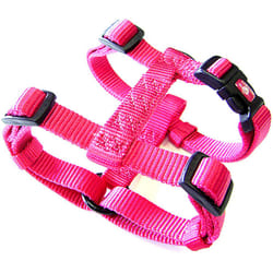 Hamilton Adjustable Comfort Nylon Dog Harness  Raspberry  1"""" x 30-40""""
