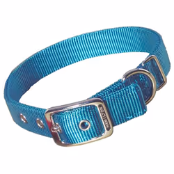 Hamilton Thick Nylon Deluxe Dog Collar 1-Inch by 24-Inch Double Teal