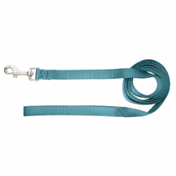 Hamilton Single Thick Nylon Dog Lead 1-Inch by 6-Feet Teal