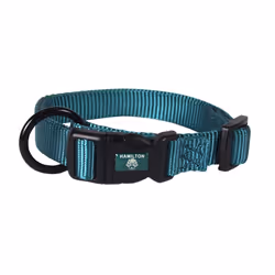 Hamilton Adjustable Nylon Dog Collar  Teal  3/4"""" x 16-22""""