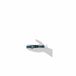 Hamilton Adjustable Nylon Dog Collar  Teal  3/4"""" x 16-22""""