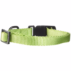 Hamilton Adjustable Nylon Dog Collar  Lime  3/8"""" x 7-12""""