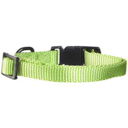 Hamilton Adjustable Nylon Dog Collar  Lime  3/8"""" x 7-12""""