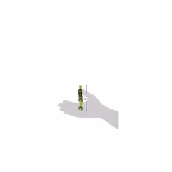 Hamilton Adjustable Nylon Dog Collar  Lime  3/8"""" x 7-12""""