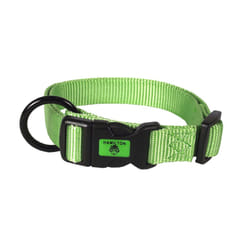 Hamilton Adjustable Nylon Dog Collar  Lime  5/8"""" x 12-18""""