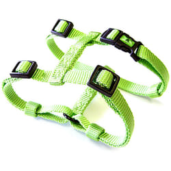 Hamilton Adjustable Comfort Nylon Dog Harness  Lime Green  5/8"""" x 12-20""""