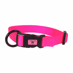 Hamilton Adjustable Nylon Dog Collar