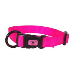 Hamilton Adjustable Nylon Dog Collar