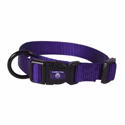 Hamilton Adjustable Nylon Dog Collar
