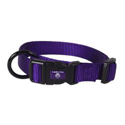 Hamilton Adjustable Nylon Dog Collar
