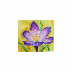 PHN4-50 Oil Pastels - Pack of 50