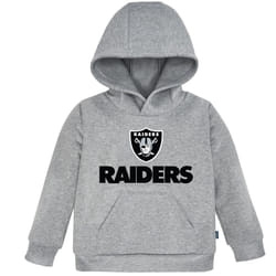 Gerber Unisex Baby NFL Fleece Hoodie Sweatshirt  Team Color  2T