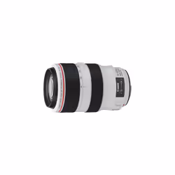 Canon EF 70-300mm f/4-5.6L IS USM Lens