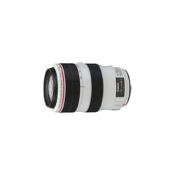 Canon EF 70-300mm f/4-5.6L IS USM Lens